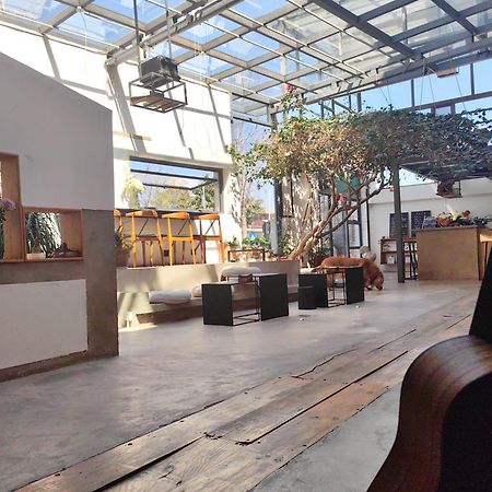 Dali Loft Travelling With Hostel Exteriör bild