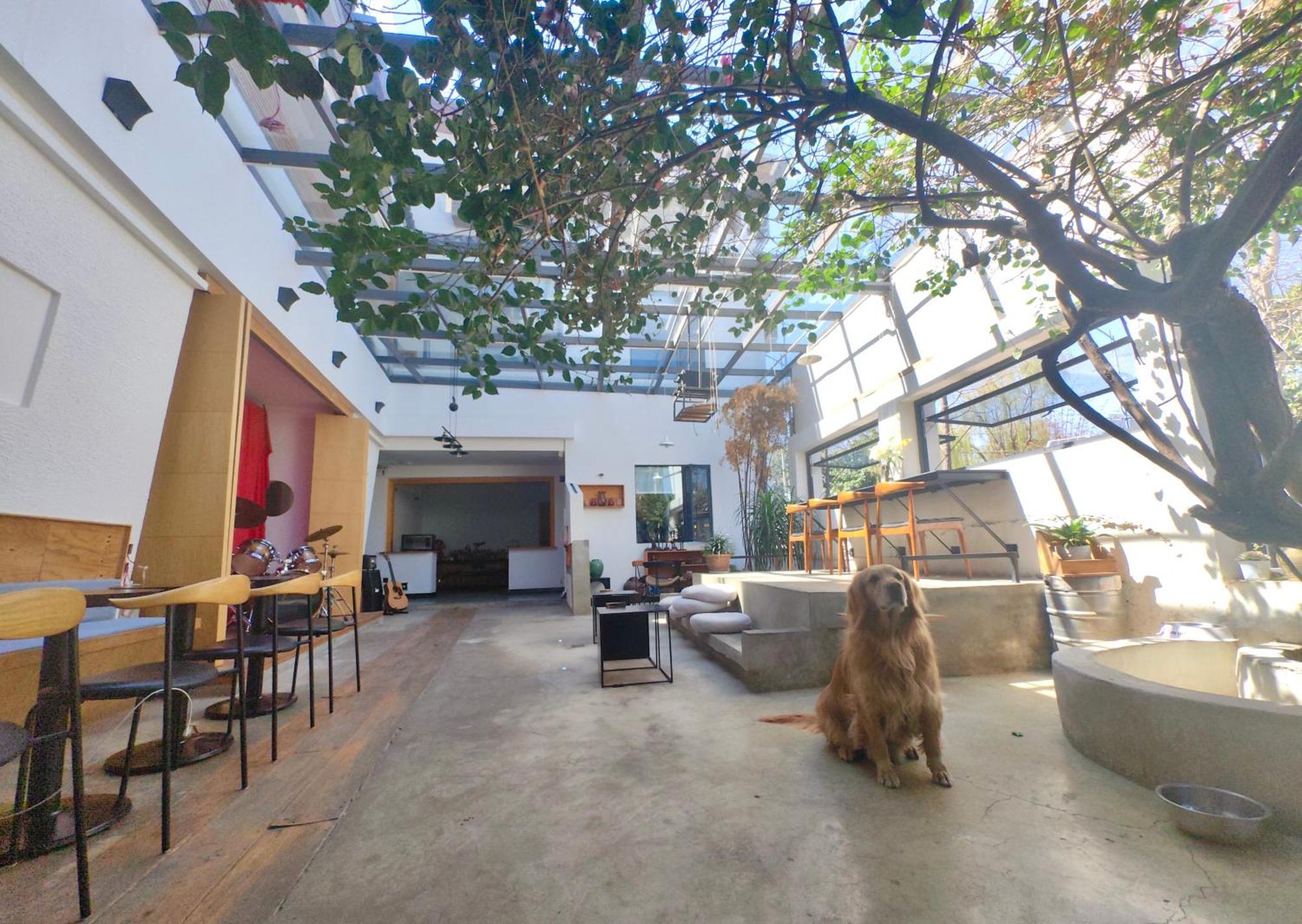 Dali Loft Travelling With Hostel Exteriör bild